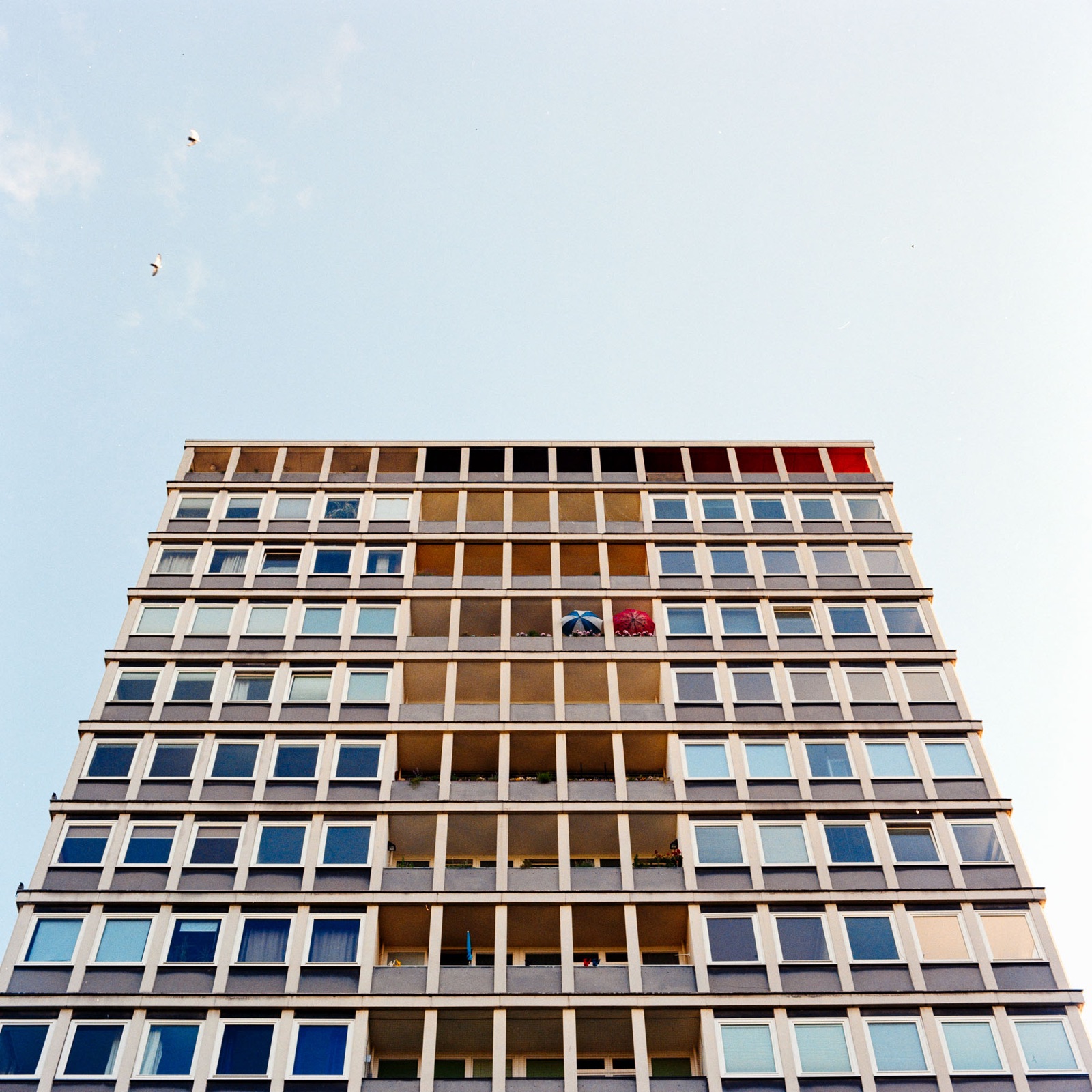 Plattenbaufassade von unten mit zwei Sonnenschirmen auf einem Balkon, darüber zwei Vögel am Himmel